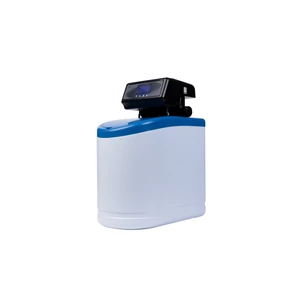 EconomySoft S10 dedurizator centralizat cu cap de control de 3/4"